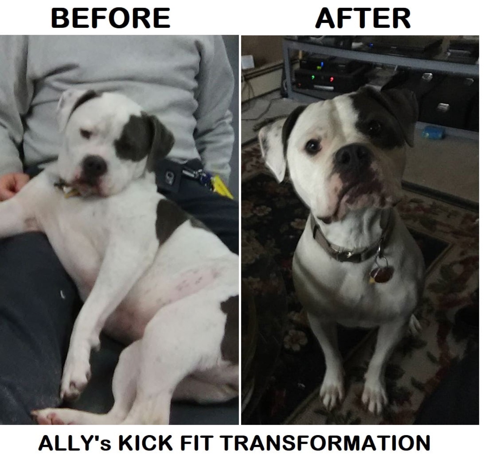 Apex client transformation